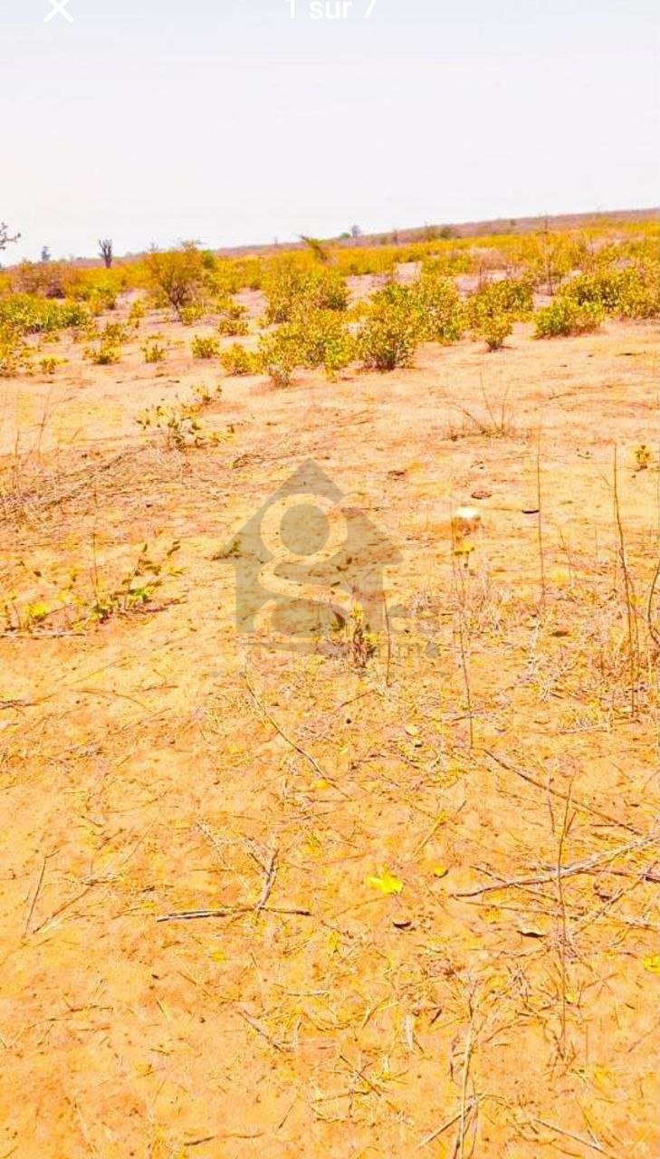 Terrain 300m2